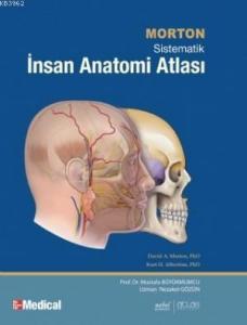 Morton İnsan Anatomisi