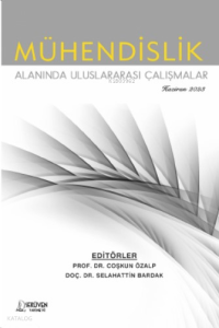 Mühendislik Alanında Uluslararası Çalışmalar