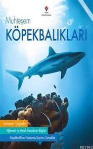 Muhteşem Köpekbalıkları