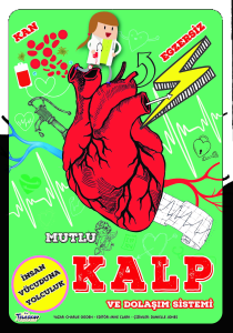 Mutlu Kalp  Ve Dolaşım Sistemi