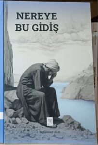 Nereye Bu Gidiş