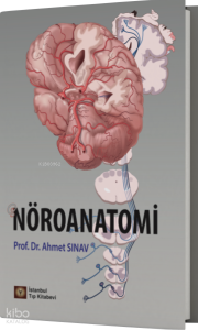 Nöroanatomi