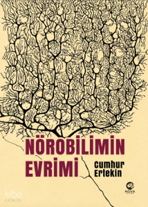 Nörobilimin Evrimi