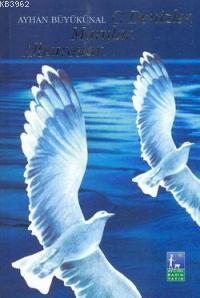 O Denizler,martılar,albatroslar...