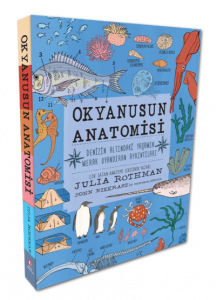 Okyanusun Anatomisi