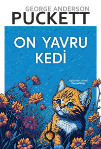 On Yavru Kedi