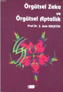 Örgütsel Zeka ve Örgütsel Aptallık