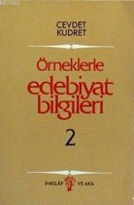 Örneklerle Edebiyat Bilgileri II