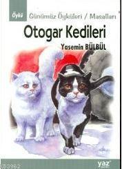 Otogar Kedileri