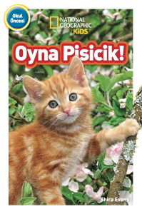 Oyna Pisicik