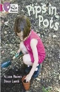 Pips in Pots (Big Cat Phonics-1B Pink)