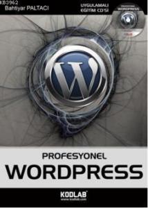 Profesyonel WordPress