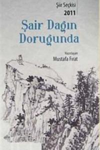 Şair Dağın Doruğunda 2011