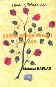 Şairin Gönül Miracı Adı Aşk