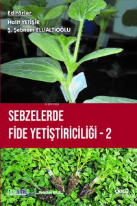 Sebzelerde Fide Yetiştiriciliği 2