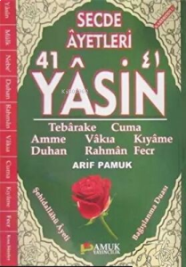 Secde Ayetleri-41 Yâsin