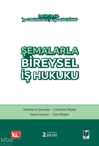 Şemalarla Bireysel İş Hukuku