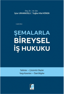 Şemalarla Bireysel İş Hukuku