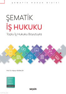 Şematik İş Hukuku;Toplu İş Hukuku Boyutuyla