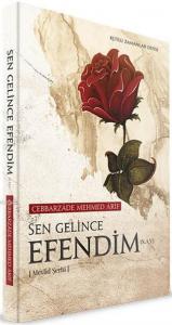 Sen Gelince Efendim(s.a.v); Mevlid Şerhi