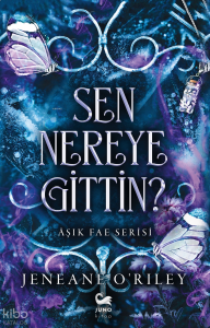 Sen Nereye Gittin?