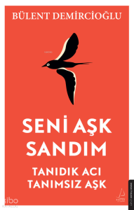 Seni Aşk Sandım;Tanıdık Acı, Tanımsız Aşk
