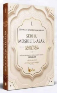 Şerhu Müşkilil Asar, Sünneti Doğru Anlamak 1. Cilt