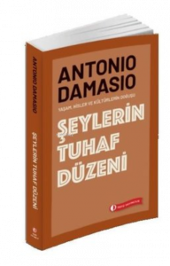 Şeylerin Tuhaf Düzeni