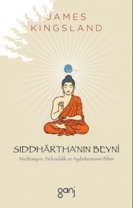 Siddharthanın Beyni