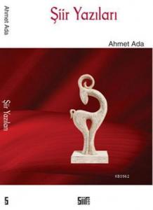 Şiir Yazıları