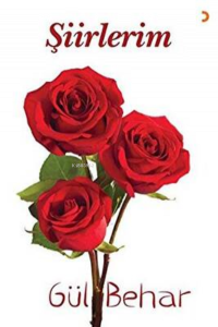 Şiirlerim