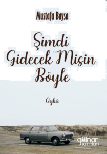 Şimdi Gidecek Misin Böyle