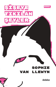 Şişeye Takılan Şeyler