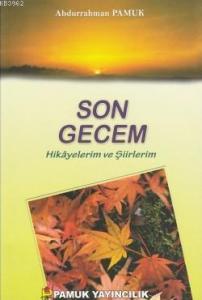 Son Gecem (Kültür-003); Hikayelerim ve Şiirlerim