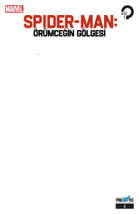 Spider-Man Örümceğin Gölgesi: Bölüm 1 - Boş Kapak