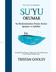 Su'yu Okumak; Su Birikintisinden Denize Kadar İpuçları ve Şekiller