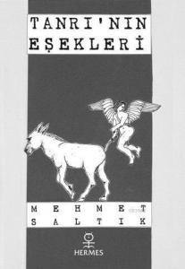 Tanrının Eşekleri