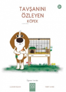 Tavşanını Özleyen Köpek