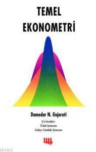 Temel Ekonometri