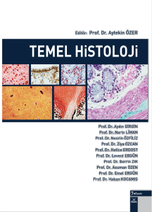 Temel Histoloji