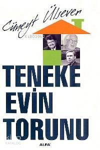 Teneke Evin Torunu