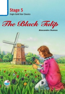 The Black Tulip - Stage 5