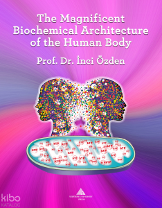 The Magnificent Biochemical Architecture of the Human Body