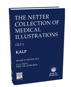 The Netter Collection of Medical Illustrations - Kalp (CİLTLİ)