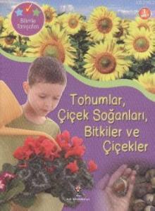 Tohumlar Çiçek Soğanları Bitkiler ve Çiçekler; Bilimle Tanışalım