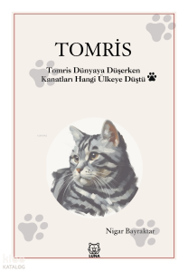 Tomris;Tomris Dünyaya Düşerken Kanatları Hangi Ülkeye Düştü