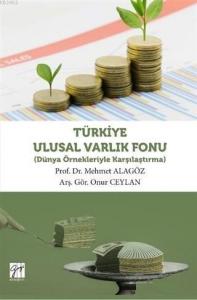 Türkiye Ulusal Varlık Fonu; Dünya Örnekleriyle Karşılaştırma