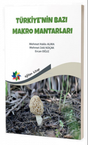Türkiye'nin Bazı Makro Mantarları
