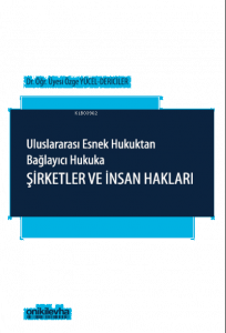 Uluslararası Esnek Hukuktan Bağlayıcı Hukuka: Şirketler ve İnsan Hakları