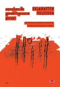 Uyurken de Görebiliyorsun Geceyi